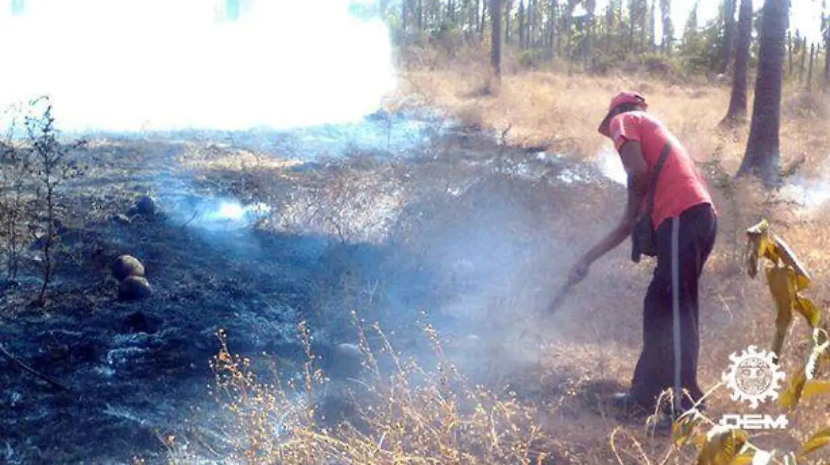 Zihuatanejo - Palmeras incendiandose